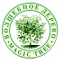 Новинки от ТМ «Волшебное дерево»  