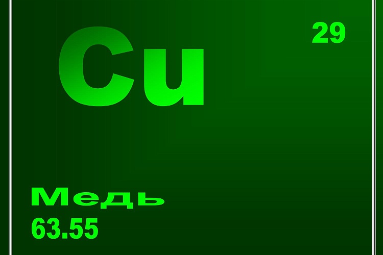 Содержание меди в продуктах питания