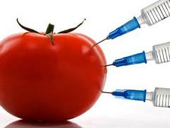 Скандал  с ГМО в США
