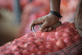 Высокие цены на лук в Индии вызвали дорожное пиратство