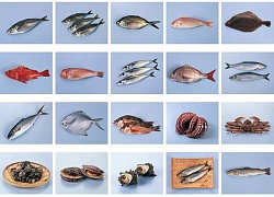 Что такое морепродукты и чем они полезны для нас?