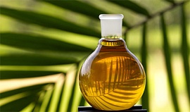 Пальмовое масло и на стол, и для производства машинной смазки