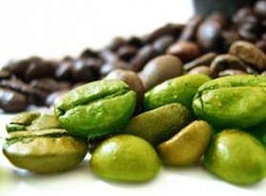 Зеленый кофе поможет похудеть любому