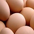 Безаллергенные яйца 