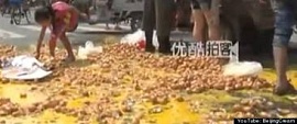Китай: 350 кг яиц на проезжей части