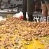 Китай: 350 кг яиц на проезжей части