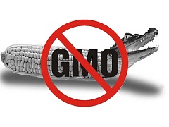 100 тысяч гривен для анализа на «С ГМО» и «БЕЗ ГМО»
