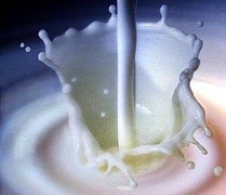 Молочный саботаж в Новой Зеландии