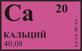 Норма потребления кальция. Продукты, содержащие кальций