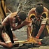 Аборигены съели почти всех редких животных в бассейне реки Конго
