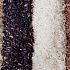 Многообразие риса