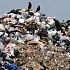 “Нестле” в России сократила на 20% объемы упаковочного материала