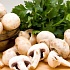 Кулинарная обработка и способы заготовки грибов