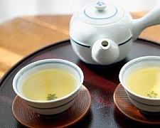 Зелёный чай смягчает фиброз печени