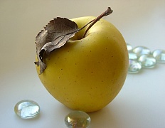 Покрытие яблок полилактидной кислотой снижает содержание патогенов, вызывающих пищевые заболевания 