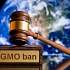 В Харькове незаконно продают продукты с ГМО