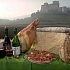 Приснился Кларет (сорт виноградного вина)