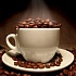Кофе Святой земли. История кофе «Элит» в Израиле