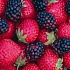  Здоровье и лесная ягода