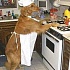 Плюсы и минусы человеческой еды для животных