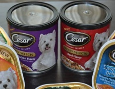 Cesar Canine Cuisine – мясо для любимца