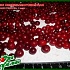 Сок из карельской ягоды выжмут в Карелии