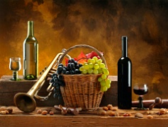 Красное, белое или розовое: какое вино полезнее?