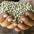 Вредные продукты не такие плохие