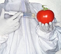 Россия и ГМО часть 2
