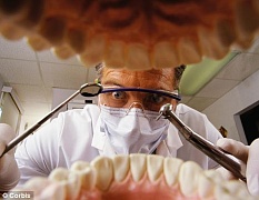 Новые пломбы восстанавливают зубы