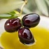 Классификация и хранение оливкового масла
