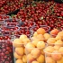 Аномальные снегопады в Украине вызовут дефицит фруктов летом