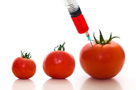 В России хотят избавиться от контроля над ГМО