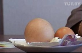 Гигантское яйцо снесла курица из Колумбии