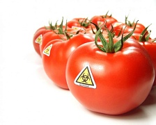 ГМО выигрывает - провал законопроекта в Калифорнии