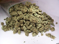 В Сумской области  изъяли более 52 кг марихуаны