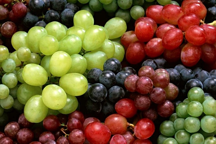 Какая польза от винограда