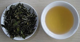 Белый чай: нежные листочки вкуса