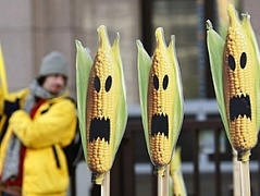 Открытое письмо ученых мира всем правительствам относительно генетически модифицированных организмов (ГМО)