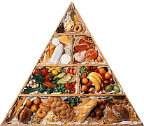 Москва: власти борются с некачественной пищевой продукцией