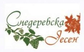 Массовое отравление детей на сербском фестивале