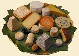 Любимый сыр