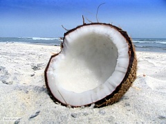 Приснился кокос