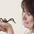 Кондитер-декоратор создала паука из мастики, чтобы избавить клиента от фобии