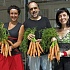 Испанский театр продает морковь, а не билеты с целью обойти  высокий налог