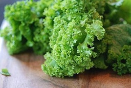 Польза листовой горчицы