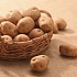 В Иркутской области поставили памятник картошке