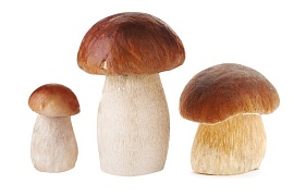 Белые грибы с луком-пореем