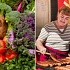 Немецкие «зеленые» обещают ввести «вегетарианский день» в общепитах 