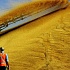 В России больше половины зерна из Китая и Таиланда